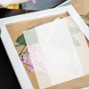 Decorative Flowers 30 Pcs Flower Press Paper Pressing Lining Major Pressed Specimen Sydney Paperboard Boards