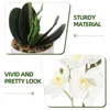 Flores decorativas flor artificial phalaenopsis simulação planta plantas falsas interior realista vaso falso bonsai rosa falsa