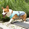 Hundebekleidung Hunde Sommer Kühlweste Kleidung für großes Sweatshirt Outdoor Walking Sonnenschutzkleidung Katze Haustierartikel Maskottchen Kostüm