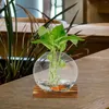 Wazony 2 zestawy botaniczny szklany wazon kwiat w pomieszczeniach do wystroju propagacja roślin Terrarium High Borosiate Office