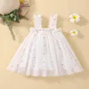 2024 Baby Girl Clothes Multi Coloured Embroidered Floral Mesh Camisole Cute Baby Girl Dress Party Princess Fluffy Dresses 240322