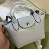 роскошная сумка-чемпион Женские длинные сумки champ Дизайнерская сумка Crossbody longchamp тотализаторы Плечи Модные лоскутки champ Дизайнеры с длинными плечами champs