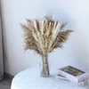 装飾的な花自然保存パンパスグラスブーケホームデコレーションドライフラリスウェディングアレンジメントテールルーム装飾