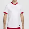 POLAND LEWANDOWSKI Soccer Jerseys Polonia 2024 2025 red white GROSICKI #11 PISZCZEK MILIK BLASZCZYKOWSKI PIATEK PolandS Jerseys 24 25 football Men Shirts uniforms