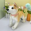 Coleira de cachorro sensorial macia da moda, cor lisa, coleira de cachorro macia, coleira de gato para cães pequenos