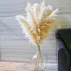 10Pcs Tall 80cm Boho Decor Large Dried Pampas Grass for Vase Filler Farmhouse Home Party Wedding DecorPompas Floral Arrangement 240309