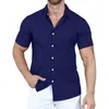 2023 Zomer Nieuwe Heren Cross disciplinaire Effen Kleur Polo Knop Losse Korte mouwen Heren Shirt 240323