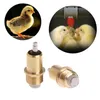 Autres fournitures d'oiseaux 5 pcs Volaille Buveur d'eau Mamelons Système d'alimentation d'arrosage