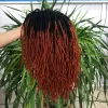 Peruki 10 -calowe Plecione peruki Afro Bob Pargia syntetyczne peruki Dreadlock dla czarnej kobiety krótkie kręcone końce cosplay yun rong hair hair