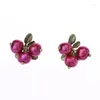 Backs Earrings S925 Silver Needle Cranberry Leaves Vintage Japan Korea Girls Literary Model Red Fruit Ear Clips