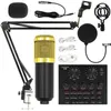 Microphones Professional Condenser Microphone Sound Recording Studio Mic Kits For Computer KTV Broadcasting Gamer Karaoke Microfone