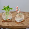 Vasi 2 set vaso botanico in vetro per fioriera sospesa per la casa per l'arredamento dell'ufficio in vaso della fattoria