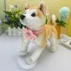 Coleira de cachorro sensorial macia da moda com gravata borboleta coleira de cachorro para cães pequenos