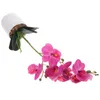 Dekorativa blommor konstgjorda blommor phalaenopsis simulerade krukväxter dekorera ros faux simulering falska ornament livlig