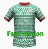 Nigeria 2024 Koszulki piłkarskie Osimhen 18 19 24 Nigerian Football Shirt Okocha Osimhen Vest Babayaro Wersja Wersja Trening Mundlid 94 96 98 Retro