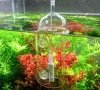 Equipment VIV Do Device Aquarium Cylinder Crystal Glass Dissolved Oxygen Water Bubble Splash Air Stone Cylinder Dissolved Fish Plants