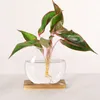 Vases 1pcs Fishbowl plat rond verre vase journal base bonsaï hydroponique plante verte bois stand bureau maison jardin bureau décoration