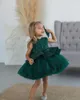 Платья для девочек Изумрудно-зеленое платье с цветочным узором на танкетке Пышные многоярусные банты с блестками и блестками Без рукавов Детское бальное платье на день рождения