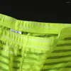 Underpants Men Sweat Absorbing Sweat-wicking Transparent Panties Nylon Men's Underwear Boxers For Daily Wear