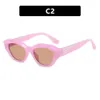 2 pezzi Fashion designer di lusso Cats Eye Occhiali da sole irregolari 2023 New Star Net Red Stessi occhiali da sole Occhiali da sole con protezione solare e protezione UV