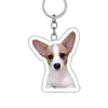 PET CORGI CHAI DOG DLOON DIY CARTOON Cute Dwustronne akrylowe pakiet sieci kluczy