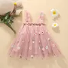 2024 Baby Girl Clothes Multi Coloured Embroidered Floral Mesh Camisole Cute Baby Girl Dress Party Princess Fluffy Dresses 240322