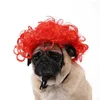 Cão vestuário pet cosplay peruca cabelo encaracolado gato para halloween festa de natal engraçado cocar com gatos