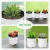 Planters Plastic Plant Nursery Pots Flower Seedling Starter Pots For Little Garden Pots To Repot Succulents And Plants (100PCS)