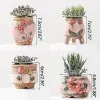 Plantadores Coreano Ins Mini Pintado Floret Cerâmica Suculenta Vaso de Flores Plantador Bonito Cor Verde Planta Polegar Vaso Casa Varanda Jardinagem