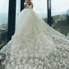 Strandbollklänning bröllopsklänningar från axelfjärilen 3D applikationer brudklänningar rygglöst svep tåg puffy bröllopsklänning