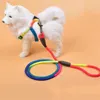 犬の首輪ウォーキングリーシュ高品質の素材カラフルなデザイン耐久性のある耐久性と訓練を使用するのに快適