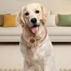 Dog Collars Unique Pet Collar Stylish Stainless Steel Necklace Comfortable Chain Fashionable Accessory For Beloved