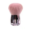 1pcs Profials Nails Art Champignon Brosse Ronde Peinture Gel Nettoyage de la Poussière Maquillage Brosse Manucure Accessoires équipement Outils S0ie #