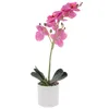 Dekorativa blommor konstgjorda blommor phalaenopsis simulerade krukväxter dekorera ros faux simulering falska ornament livlig