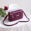 Shoulder Bags Small For Women 2024 Handbags Soft Leather Female Crossbody Messenger