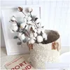 Dekoracyjne kwiaty wieńce 5pcs naturalnie suszone bawełniane łodygi farmhouse sztuczny wypełniacz kwiatowy kwiatowy wystrój fałszywy majsterkowicz Garland Del Ot0zo