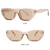 Lunettes de soleil Vintage œil de chat, petite monture UV400 Y2K pour femmes, mode rétro Anti-UV, lunettes de soleil tendance Punk irrégulière