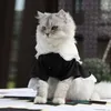 Cat Costumes Summer Cool Skirts Funny Cute Pet Dress Kitten Outfit Supplies Comfortable British Style Sling Clothing Elegant