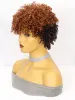 Wigs Short Pixie Cut Dark Brown Synthetic Wigs Natural Curly Layered Wig with Fluffy Bangs for Women Daily Heat Resistant Hair