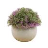 Fleurs décoratives 1 pièces bébé larmes plantes artificielles vert bonsaï petit arbre Pot fausse fleur en Pot ornements pour la décoration de la maison