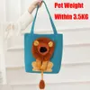 Borsa morbida traspirante per animali domestici con design a forma di leone Borse per cani e gatti Borsa da viaggio per animali domestici con cerniere di sicurezza 240307