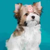 Dog Apparel 10 Pcs Pet Rubber Band Puppy Accessories Girl Christmas Headdress Nylon Hair Ties For Small Dogs Hairbands