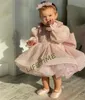 Meisjesjurken Schattige babyjurk Gezwollen bloem Lange mouwen Strik Prinses Eerste communie Verjaardag