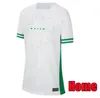 Nigerias Soccer Jersey 2024 New 2025 Team 24 25 Football Shirt Men Home Away Men Uniform Green 2026 World Cup Rainforest Ndidi T.Moffi Lookman Chukwueze