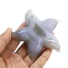 Figurki dekoracyjne 1 PCS Naturalny agat Geode Crystal Starfish rzemieślniczy ornament