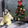 Tuta a quattro zampe levriero italiano Cappotto invernale caldo per cani Levriero Whitbit Abbigliamento per cani 240319