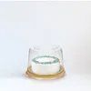 Take Out Containers 20 Pcs With Cover Cake Box Child Cheesecake Lids Plastic Transparent Carrier