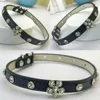Fashion Bling Puppy Collar Cute Dog Collar Elegent Cat Collar with Diamanti for Small Dogs Cats