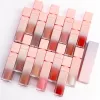 7g Private Label Lipgloss Aangepaste Bulk Vloeibare Lipstick Metallic Matte Glans Roze Buis Moisturizer Waterdicht Pigment Lippen Make-up s0T5#