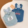 Abbigliamento per cani Abbigliamento per animali domestici Tasche Bretella Abito di jeans per cani Vestiti Gatto piccolo carino sottile Autunno Inverno Moda Yorkshire Accessori